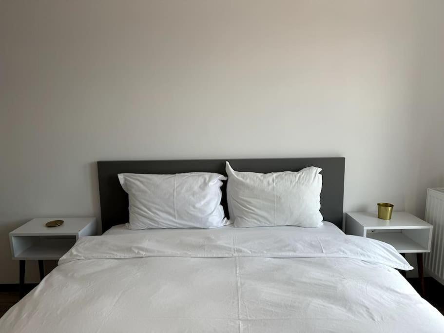 Seville Studio Cu Terasa & Vedere La Munte Braşov Extérieur photo