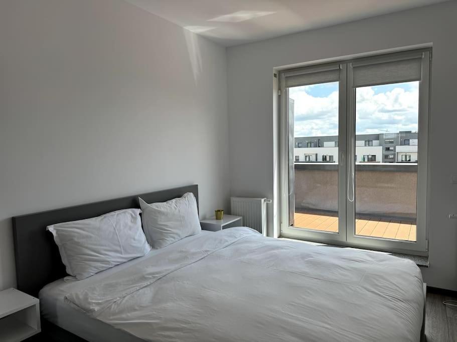 Seville Studio Cu Terasa & Vedere La Munte Braşov Extérieur photo