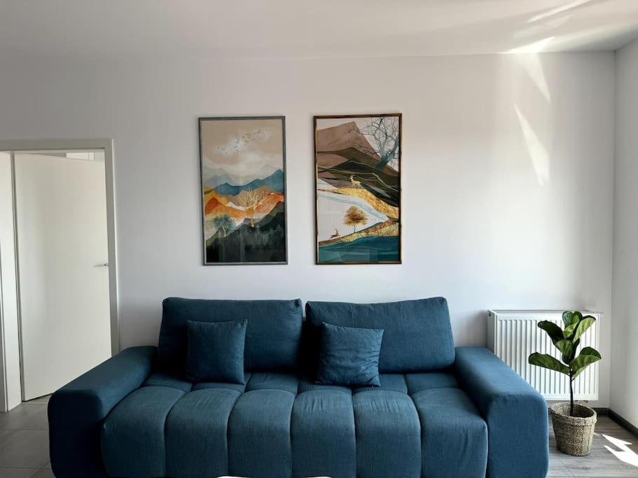 Seville Studio Cu Terasa & Vedere La Munte Braşov Extérieur photo