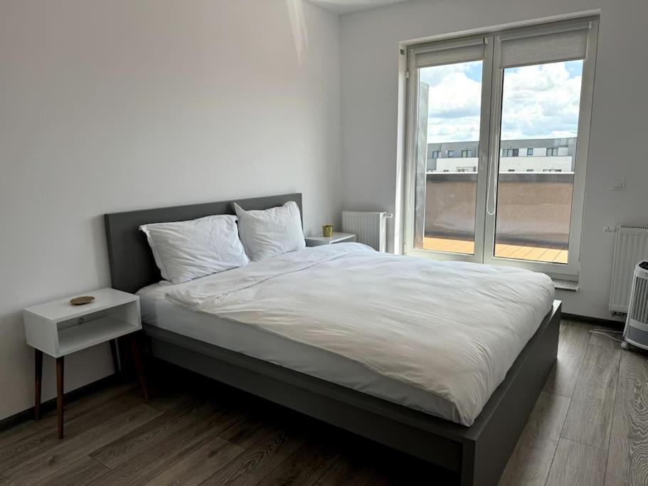 Seville Studio Cu Terasa & Vedere La Munte Braşov Extérieur photo